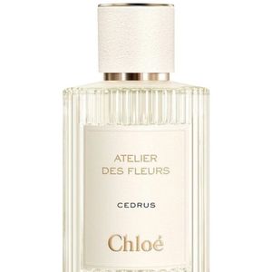فروش اینترنتی تستر اروپایی عطر ادکلن کلوهه سدروس | Chloe Cedrus