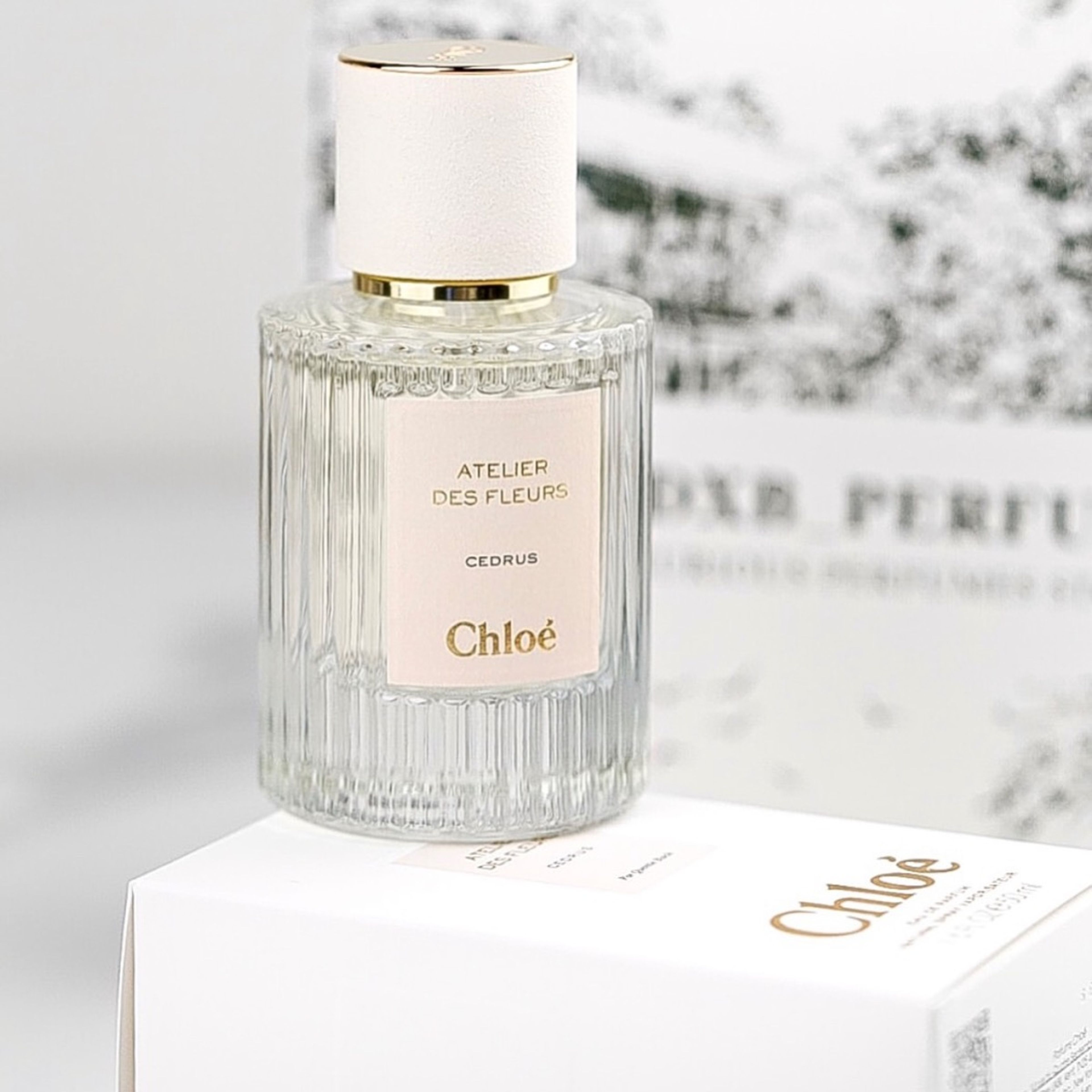 خرید آنلاین تستر اروپایی عطر ادکلن کلوهه سدروس | Chloe Cedrus
