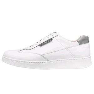 قیمت کفش کتونی مردانه مدل وندیک رنگ سفید طوسی