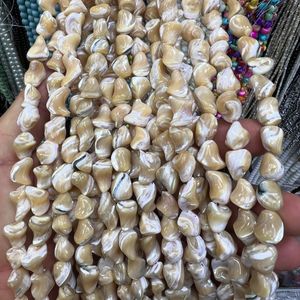 صدف کاراملی اصلی بندی