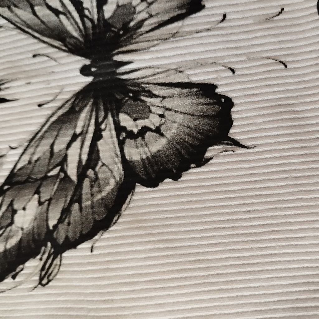 قیمت ارزان کراپ تیشرت پروانه