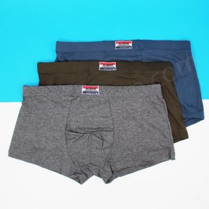شورت مردانه پادار سه عددی – پک متنوع سایز 3XL با پارچه پنبه لاکرا