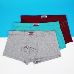 شورت پادار مردانه 3 عددی – متنوع پنبه لاکرا سایز 3XL