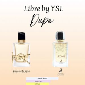 قیمت ارزان عطر ادکلن الحمبرا ایو سن لورن لیبره | Alhambra Leonie