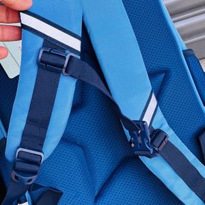 قیمت ارزان کوله پشتی اورجینال طرح دایناسور برند Chrisbella کد 4052801