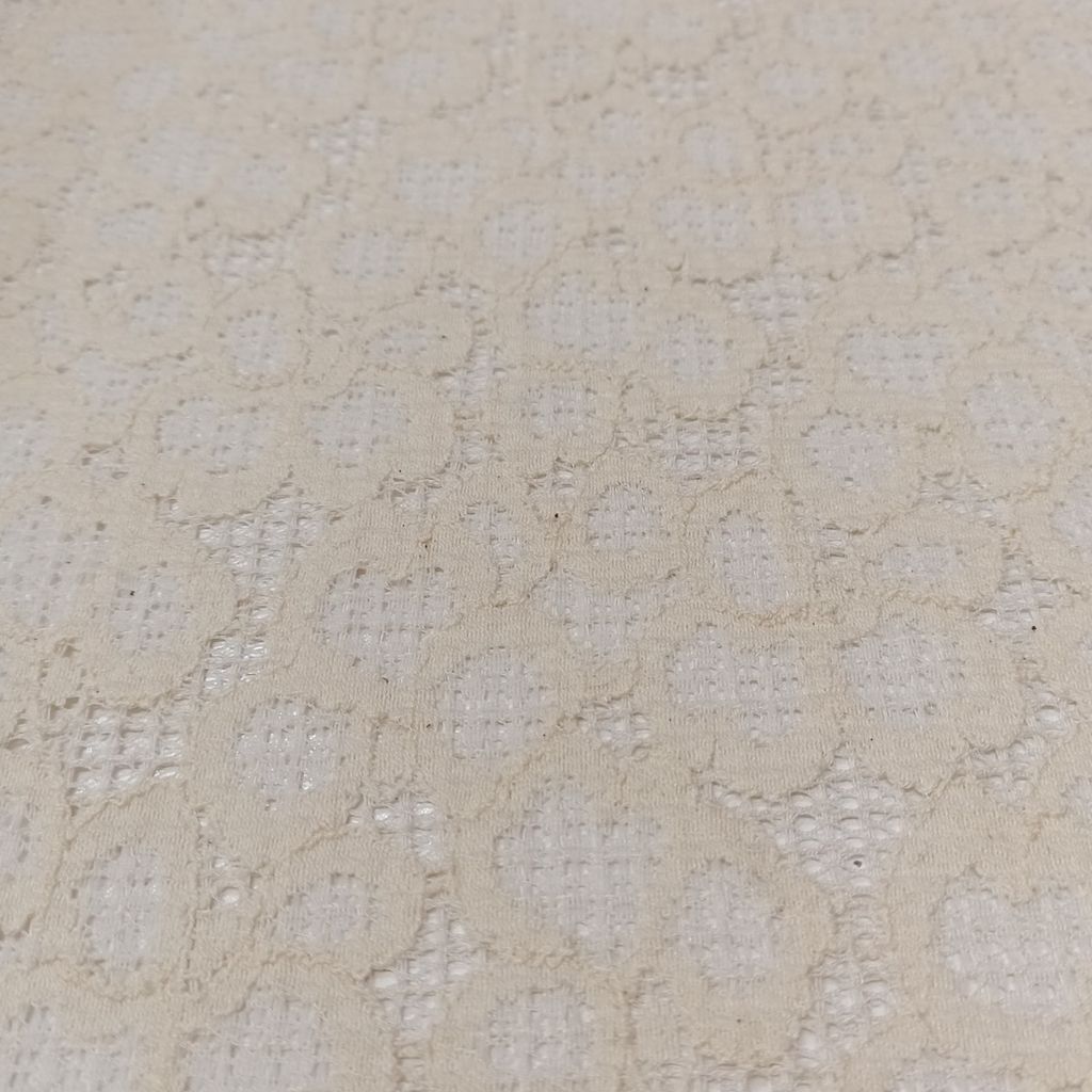 مشخصات تور دانتل مجلسی