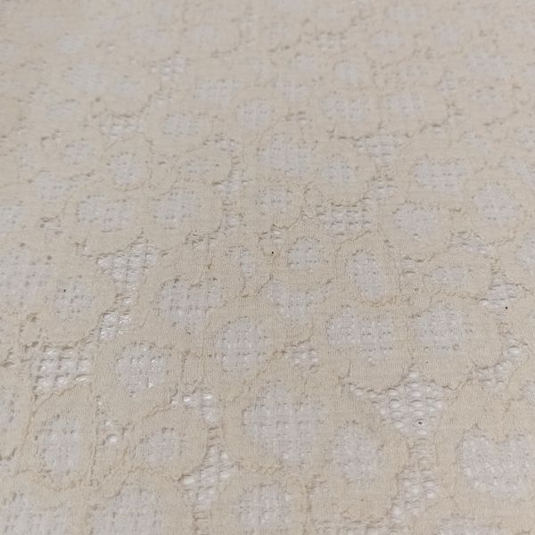 تور دانتل مجلسی