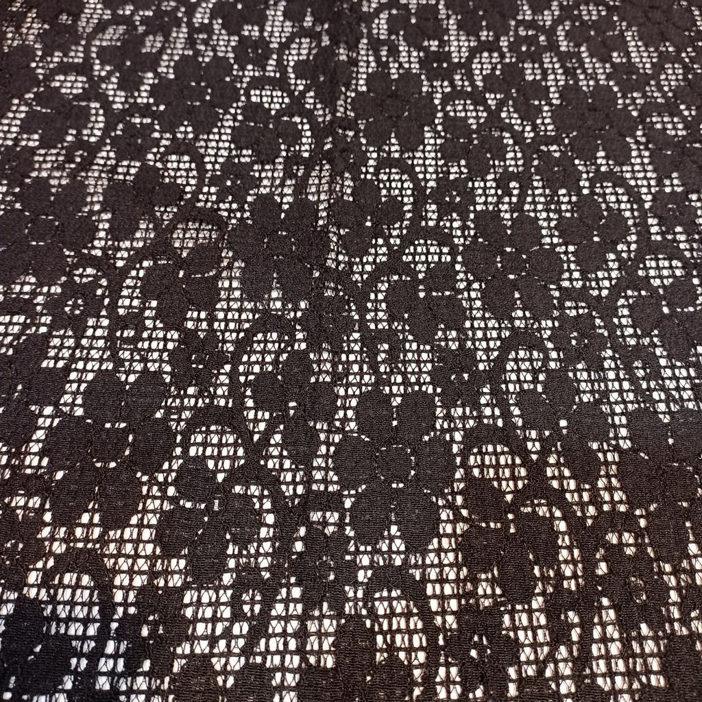 قیمت تور دانتل مجلسی