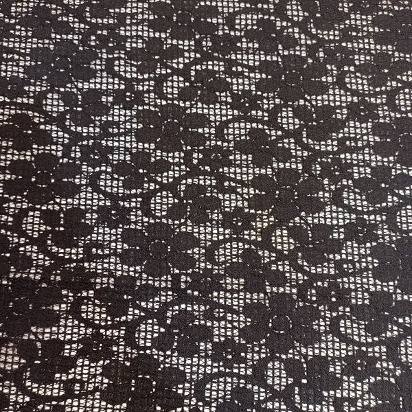 تور دانتل مجلسی