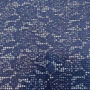 تور دانتل مجلسی