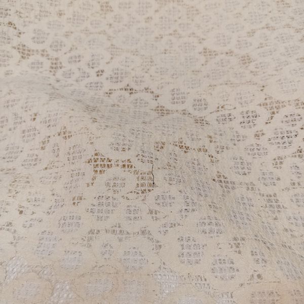 تور دانتل مجلسی