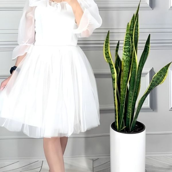 مجلسی شیک و جذاب