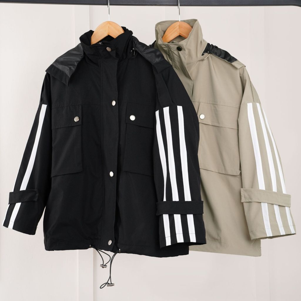 مشخصات بارونی کلاه دار پارمیس پاد