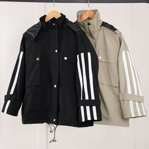 مشخصات بارونی کلاه دار پارمیس پاد