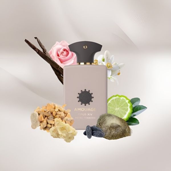 تستر اروپایی عطر ادکلن آمواج اپوس V وودز سیمفونی | Amouage OPUS V