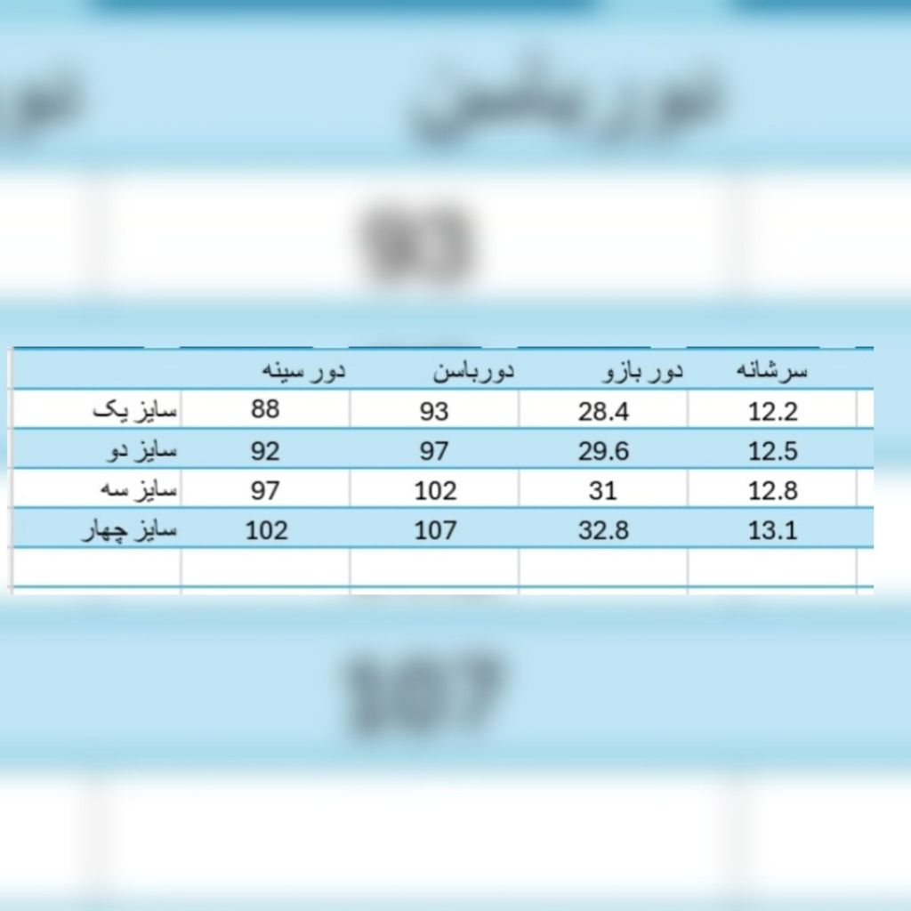 خرید آنلاین پالتو زنانه شانل مدل ناریسا