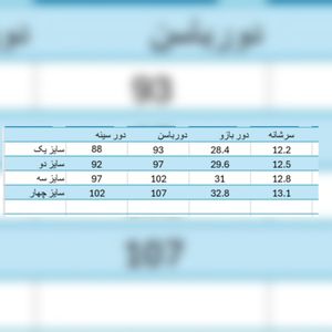 خرید آنلاین پالتو زنانه شانل مدل ناریسا