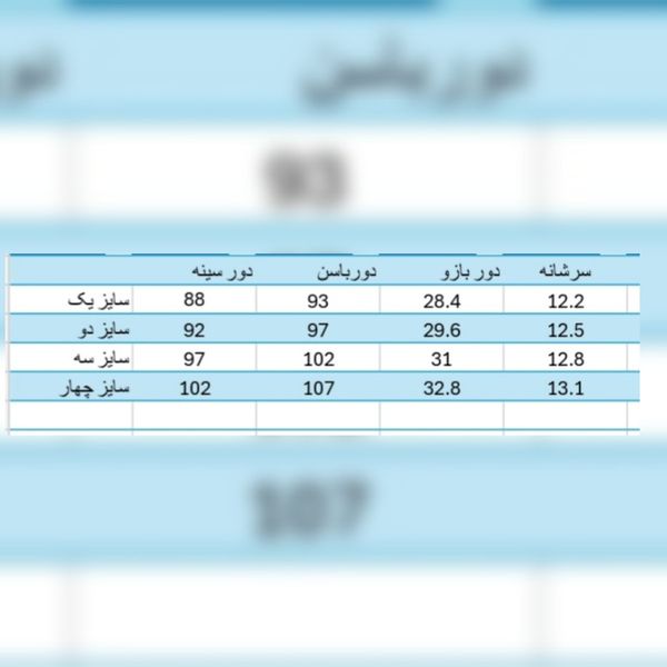 پالتو زنانه شانل مدل ناریسا