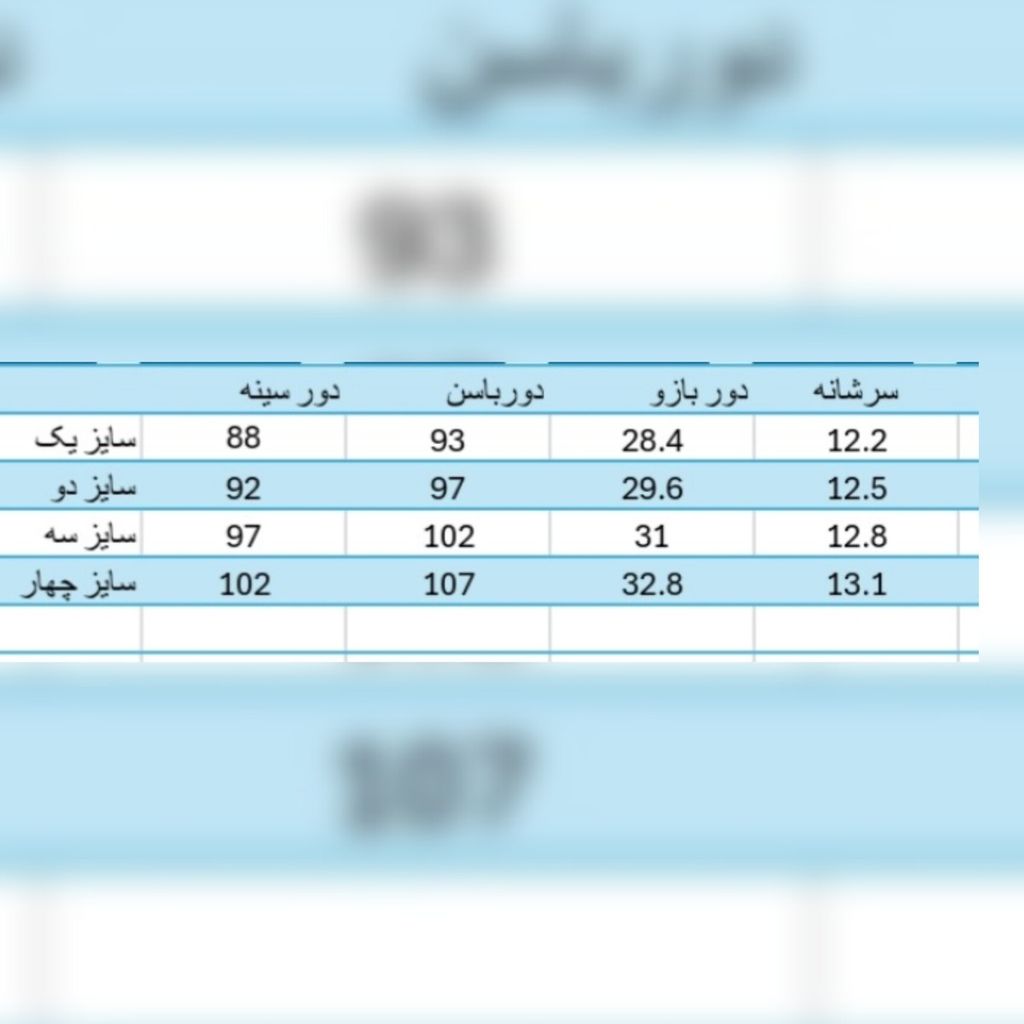 خرید آنلاین پالتو زنانه شانل مدل روشا