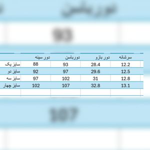 خرید آنلاین پالتو زنانه شانل مدل روشا