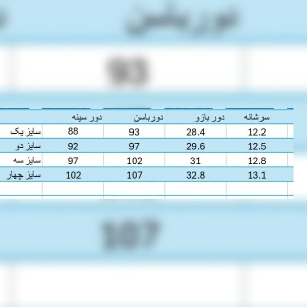 پالتو زنانه شانل مدل روشا