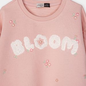 بلوز تک آیریس