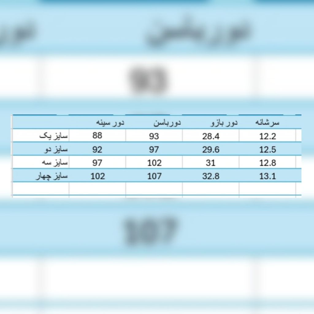 فروش اینترنتی شومیز مجلسی زنانه مدل ویشکا