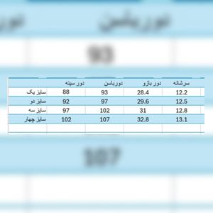 فروش اینترنتی شومیز مجلسی زنانه مدل ویشکا