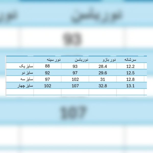 شومیز مجلسی زنانه مدل ویشکا