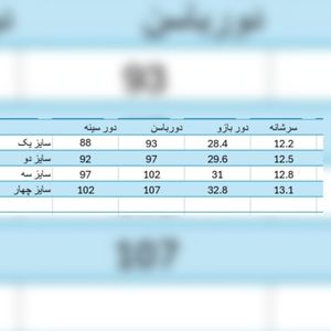 قیمت ارزان پالتو مخمل زنانه آستر دار مدل نیایش