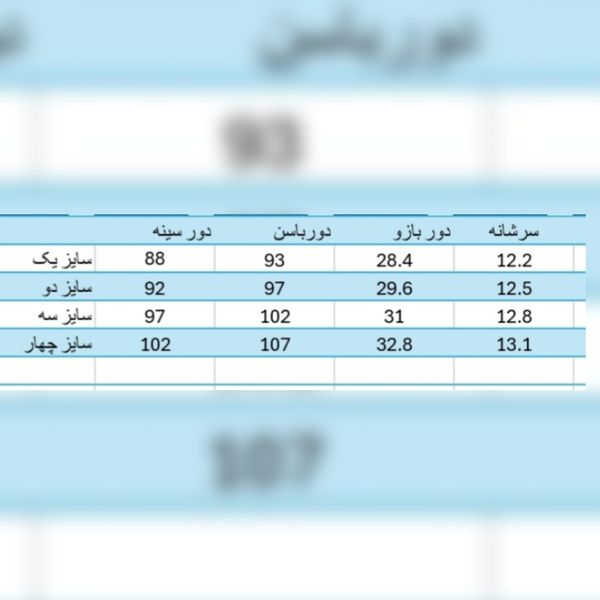پالتو مخمل زنانه آستر دار مدل نیایش