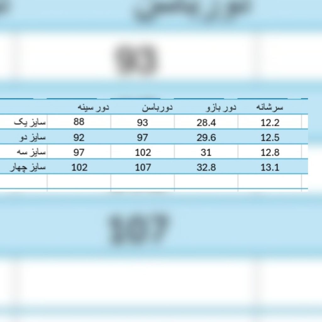 خرید انلاین ست پاییزه جین زنانه مدل سپیده