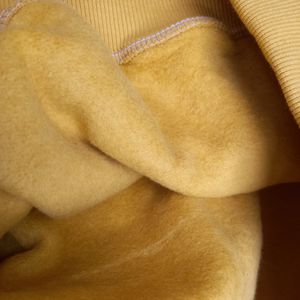 خرید اینترنتی هودی مردانه ساده خردلی