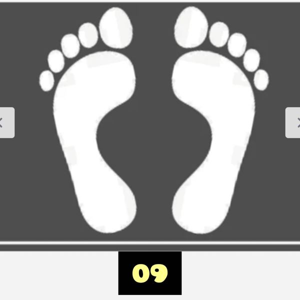 پادری مخمل هازان 50 در 80 پس کرایه