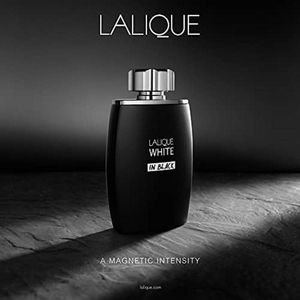 خرید اینترنتی عطر مردانه لالیک وایت این بلک - LALIQUE - Lalique White in Black