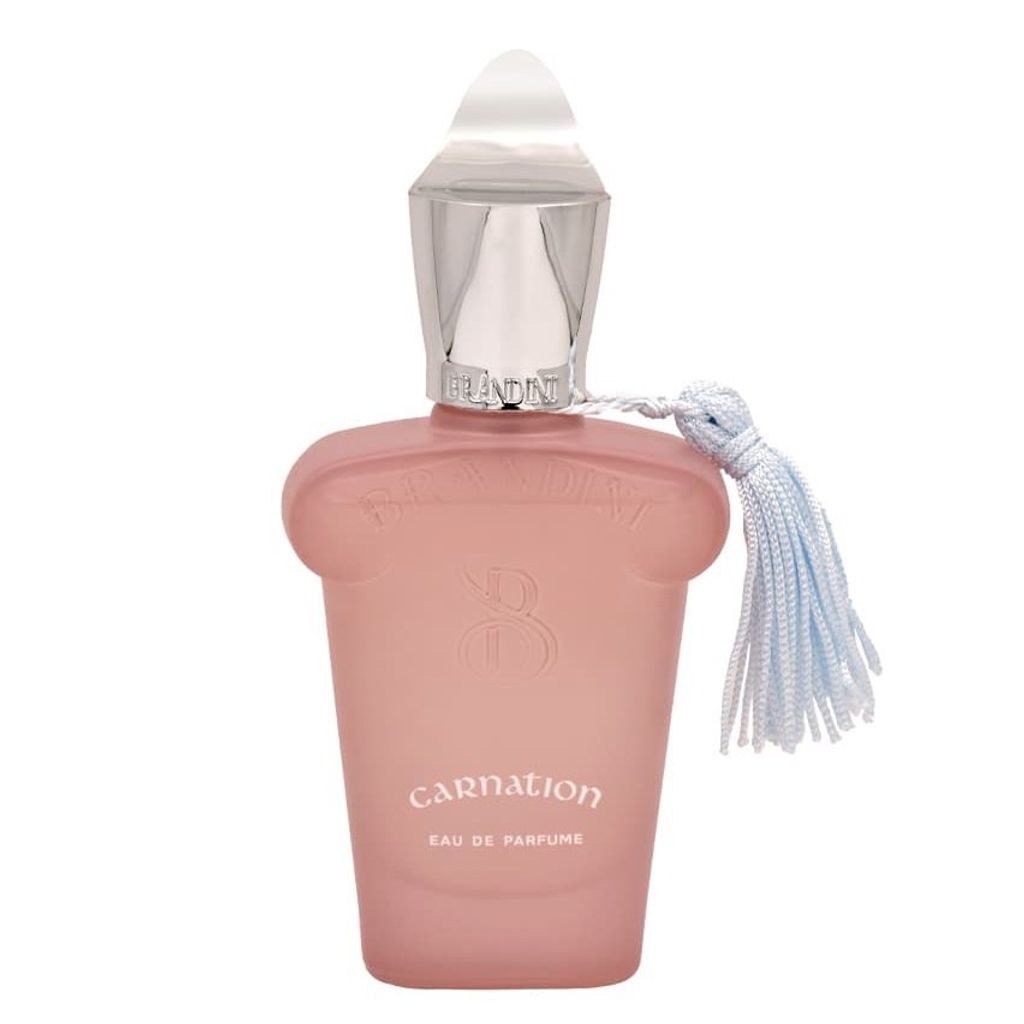 قیمت عطر مردانه برندینی کارنیشن (کارنشن) - Brandini - Carnation