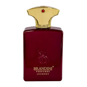 عطر مردانه برندینی جورنی (جرنی) - Brandini - Journey