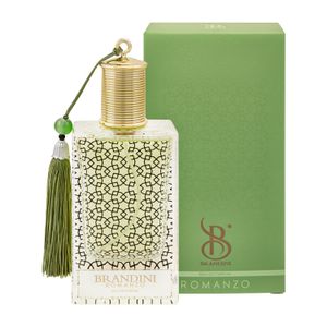 خرید آنلاین عطر مردانه برندینی رومنزو (رومانزو) - Brandini - Romanzo