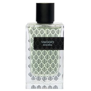 خرید آنلاین عطر مردانه برندینی ویاجیو - Brandini - Viaggio