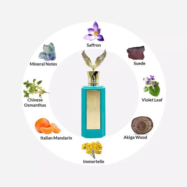 عطر اسپرت پاریس کورنر سیلستیال - Paris Corner Celestial ادو پرفیوم 100 م