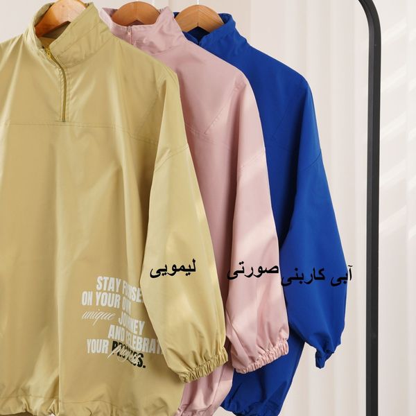 بارونی ناتسوکی بهسا  پاد