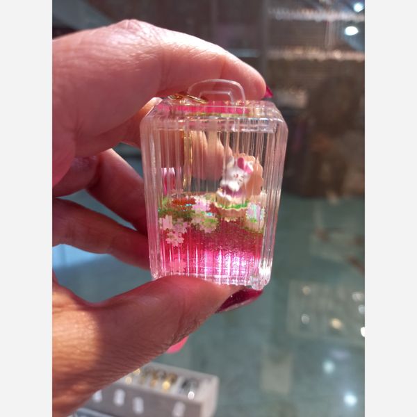 جاکلیدی های آکواریومی گربه و صدف