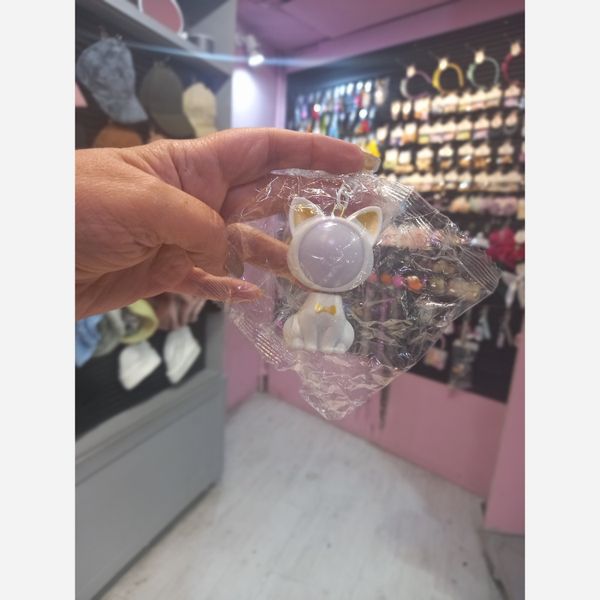 جاکلیدی گربه فضایی 