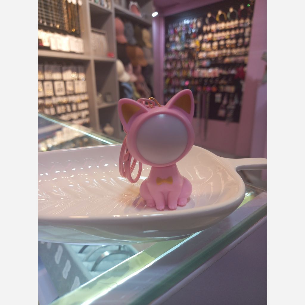 قیمت ارزان جاکلیدی گربه فضایی 