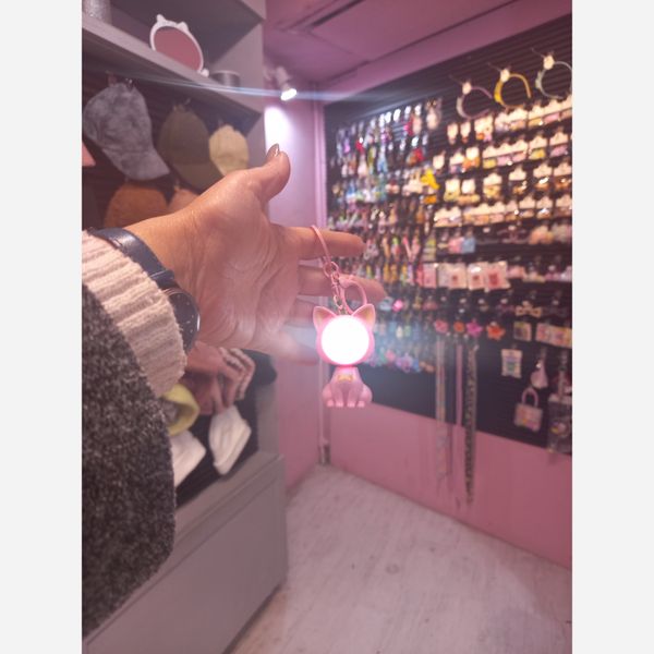 جاکلیدی گربه فضایی 