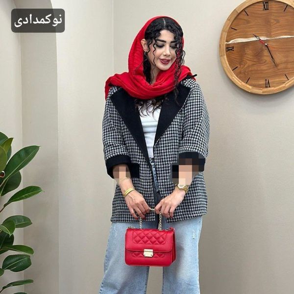 پالتو ترکیبی همتا