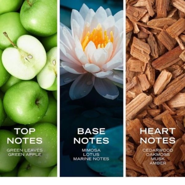 نوتیکا وویاژ (ناتیکا وویاج) اورجینال 100 میل  NAUTICA - Nautica Voyage