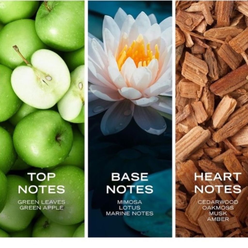 فروش اینترنتی نوتیکا وویاژ (ناتیکا وویاج) اورجینال 100 میل  NAUTICA - Nautica Voyage