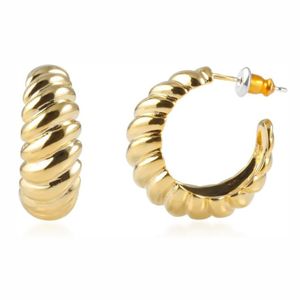 گوشواره حلقه ای زنانه مدل مارپیچ - accessory_vay - Gosh 044