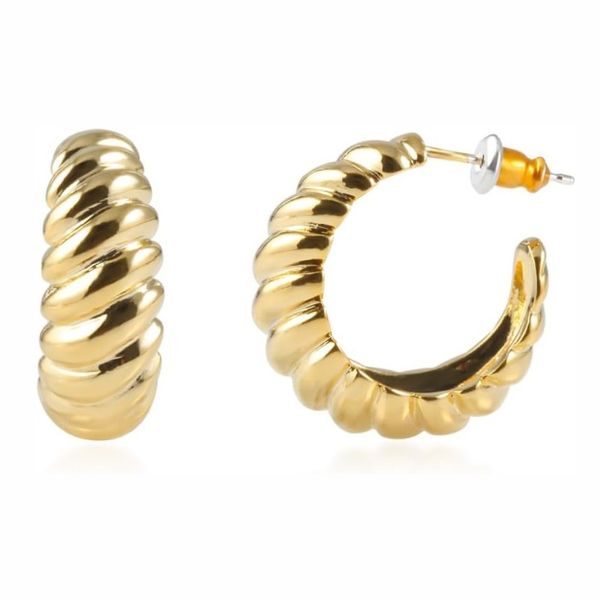 گوشواره حلقه ای زنانه مدل مارپیچ - accessory_vay - Gosh 044